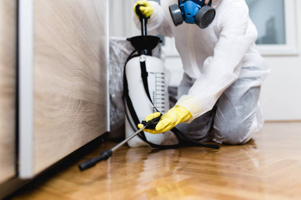 Best Wasp Removal Services  in Park Center, CO
