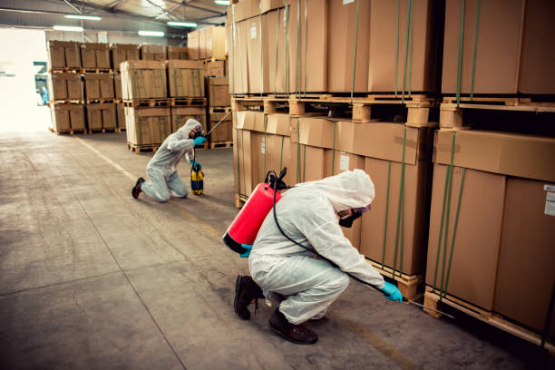 Best Mosquito Control Services  in Park Center, CO