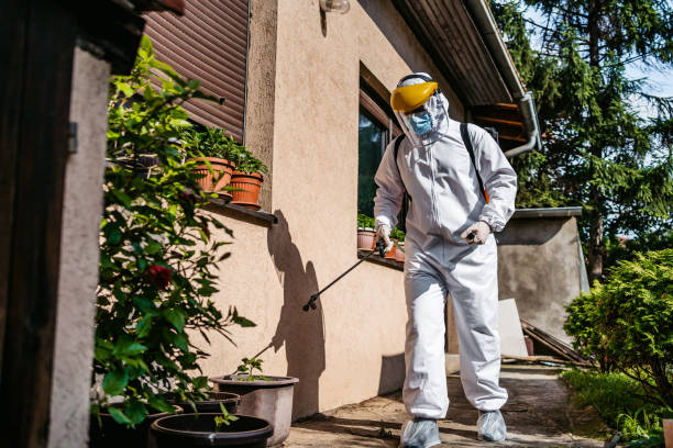 Best Exterminator Services  in Park Center, CO