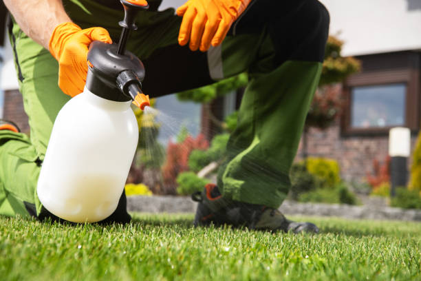 Best Mosquito Control Services  in Park Center, CO