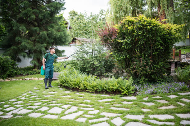Best Pest Inspection Near Me  in Park Center, CO